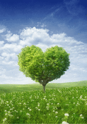 Arbre d'amour en forme de c&oelig;ur